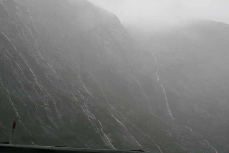 Nieuw-Zeeland 2011 - 1725